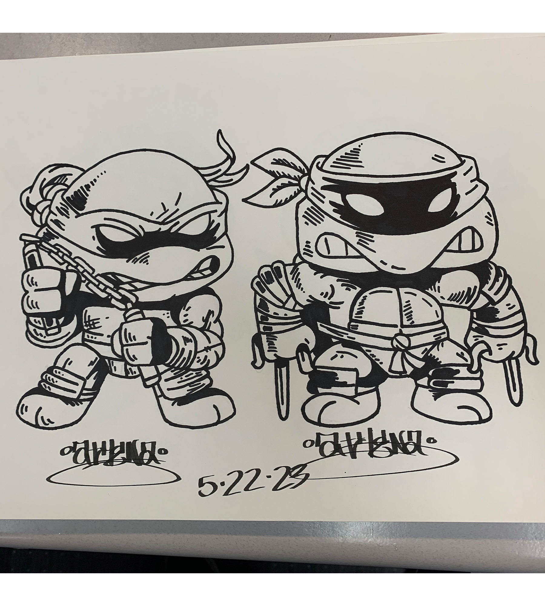 Mikey and Raph