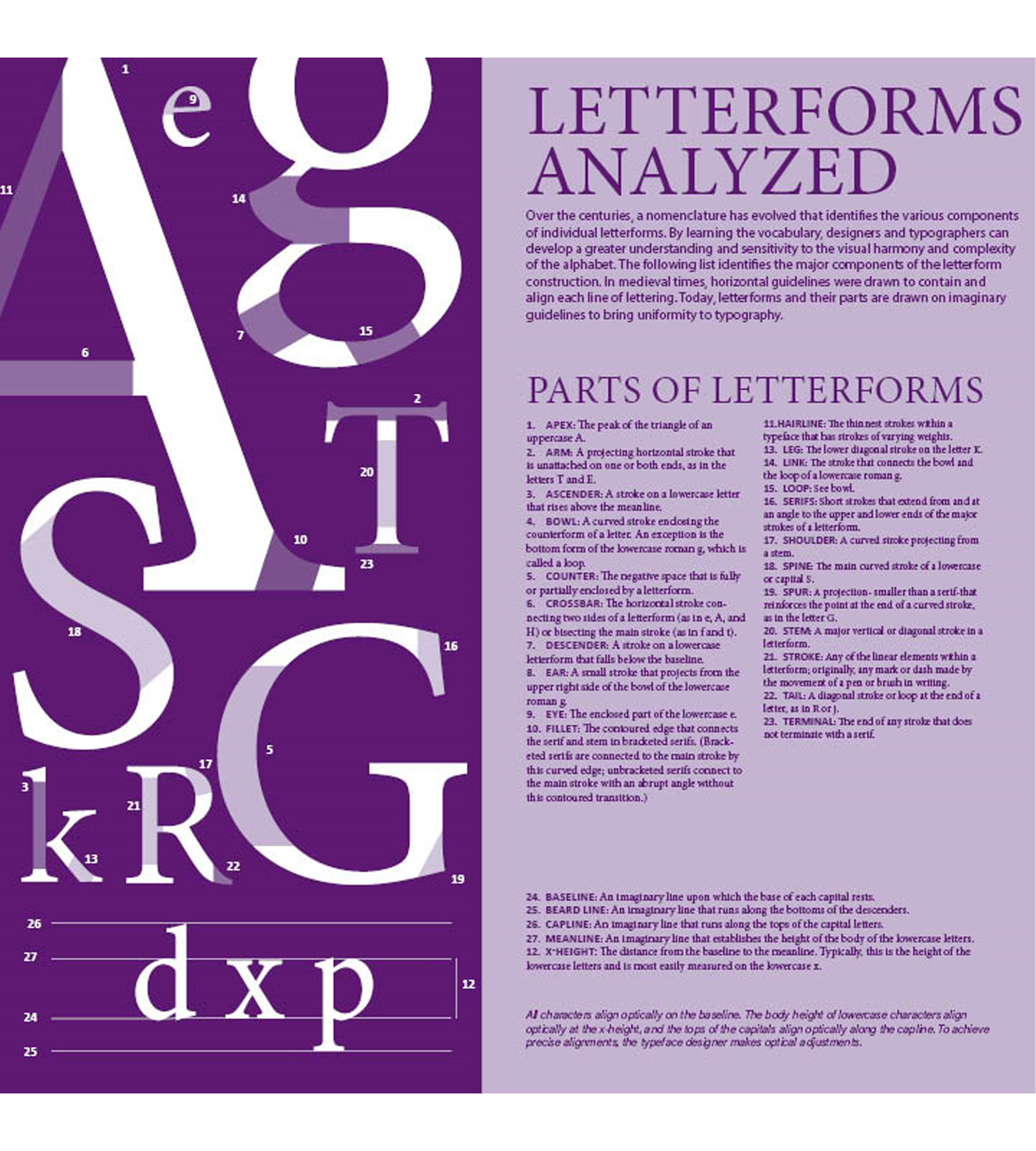 Parts of a Letterform (Color)